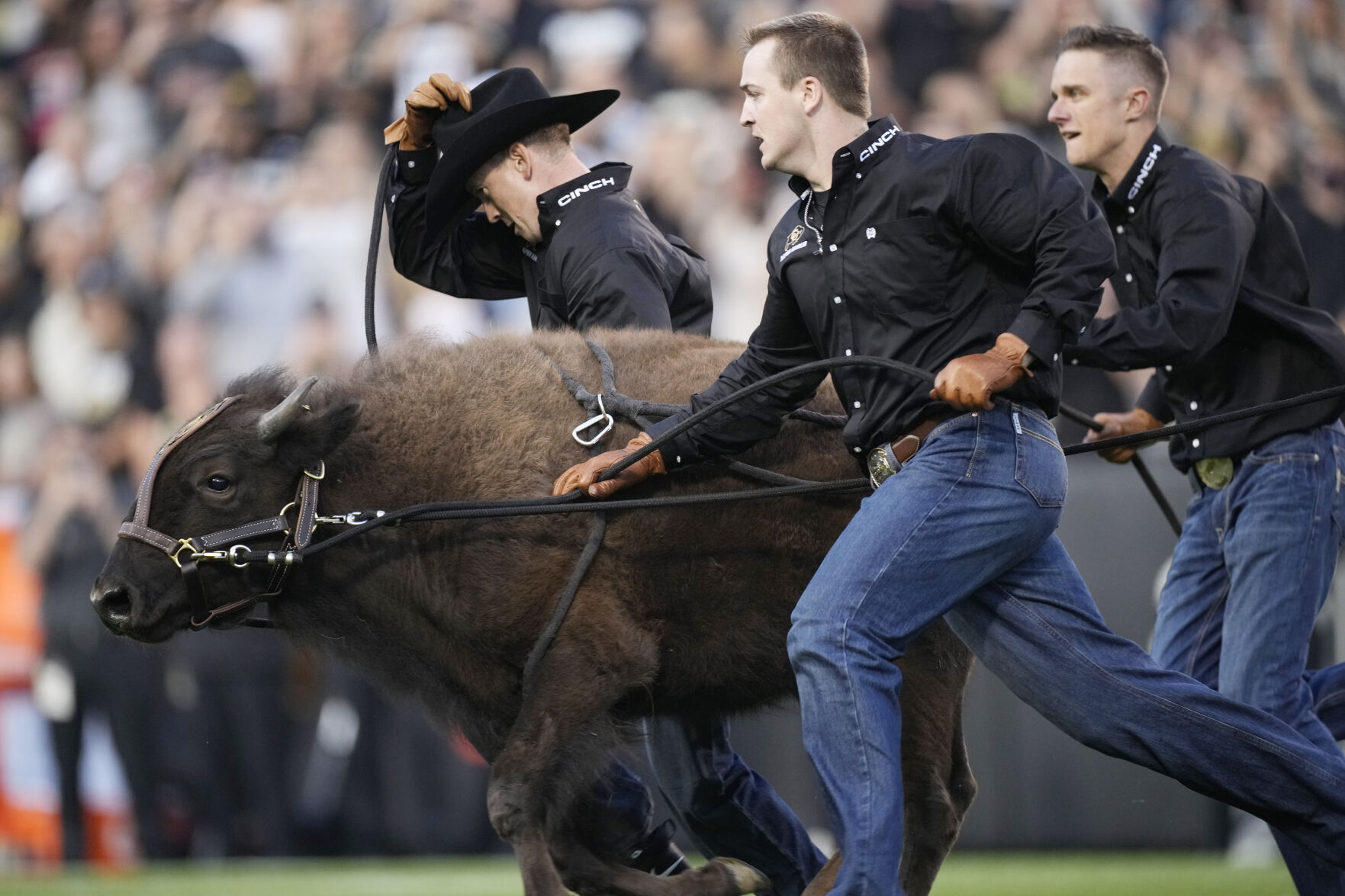 N Colorado Colorado Football